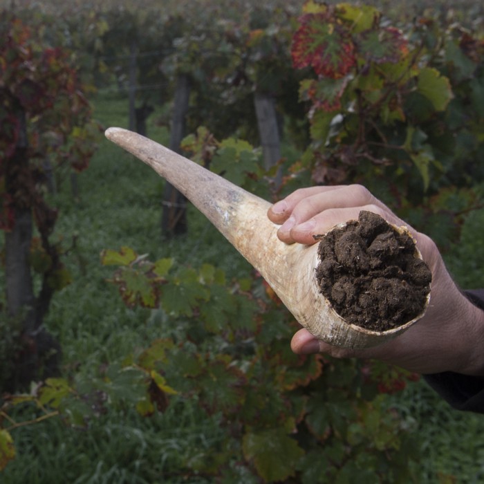 Biodynamic Wines & Vines Tasting Set